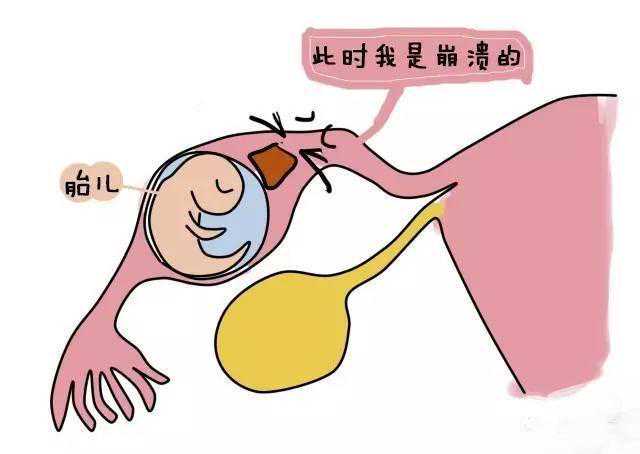 北京私人医院供精供卵怎么样（北京哪家供卵机构合法）