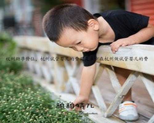 杭州助孕价位，杭州试管婴儿的费用是多少在杭州做试管婴儿的费