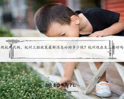 正规杭州代妈，杭州三胎政策最新消息补助多少钱？杭州现在生三胎好吗？