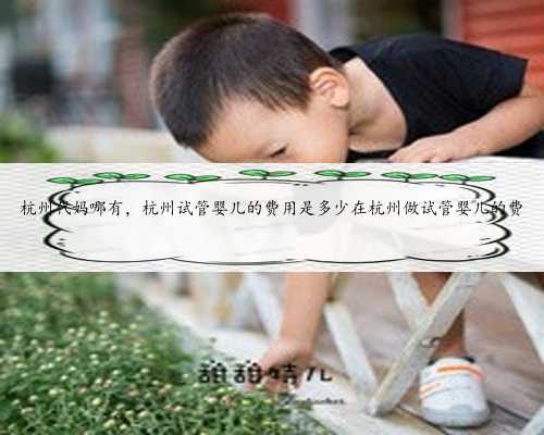 杭州代妈哪有，杭州试管婴儿的费用是多少在杭州做试管婴儿的费
