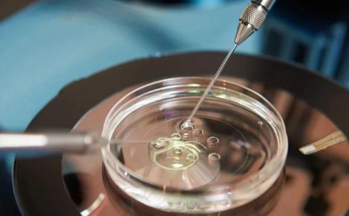 借卵助孕实现生育梦想——专业机构的全面支持与保障