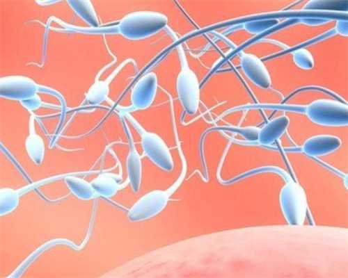 婴儿哭闹不止？这些家庭护理技巧快速见效