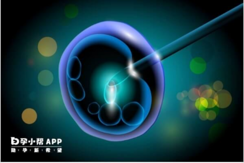 借卵助孕机构现状与未来：科技引领生育新篇章