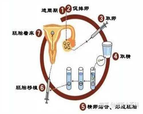 6个月后宝宝睡眠训练科学指南与实操要点