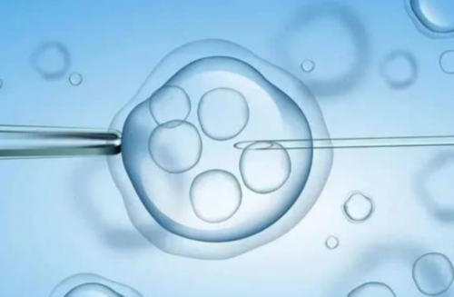 婴儿抚触与大脑发育：科学证实影响终身学习能力