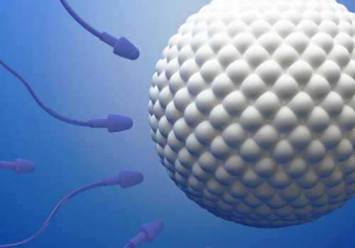 卵泡发育难题破解：破卵针助您唤醒沉睡卵子