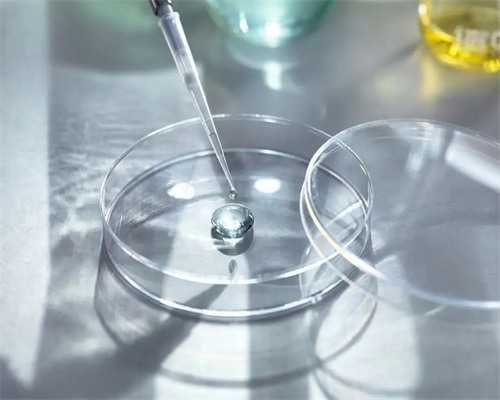 低温生命奇迹：胚胎冷冻复苏全流程深度解析