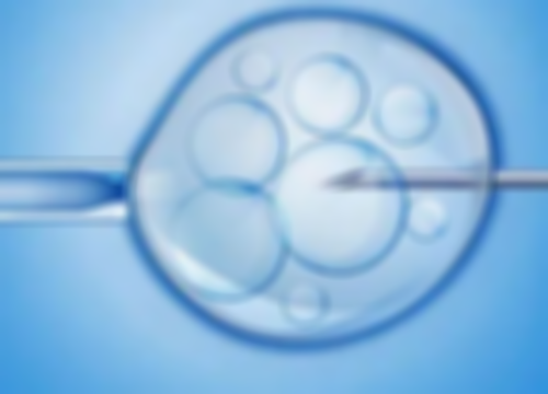 揭秘全国领先的囊胚培养成功率：选择与关键因素