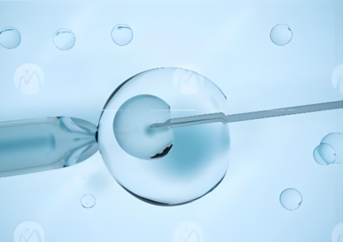 胚胎冷冻技术开启跨国生育新篇章，突破地域束缚
