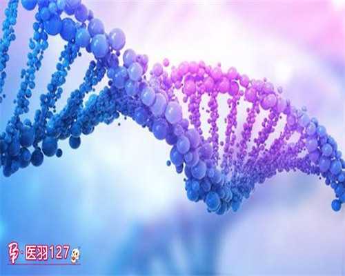 供卵助孕费用详解：预算规划与实际支出指南