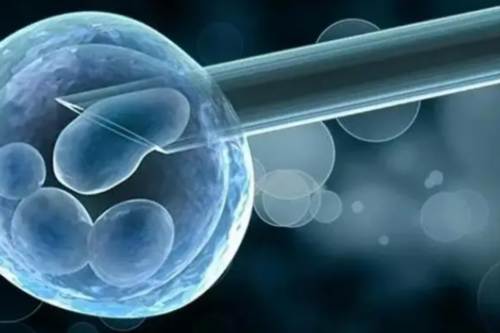 早产儿黄金期养育：从医院到家庭的过渡护理指南