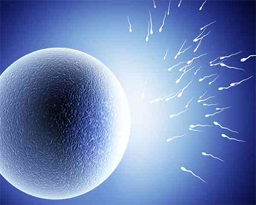 揭秘供卵生子费用构成与选择指南