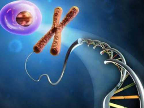 母乳喂养能否降低新生儿湿疹风险？科学研究揭示真相