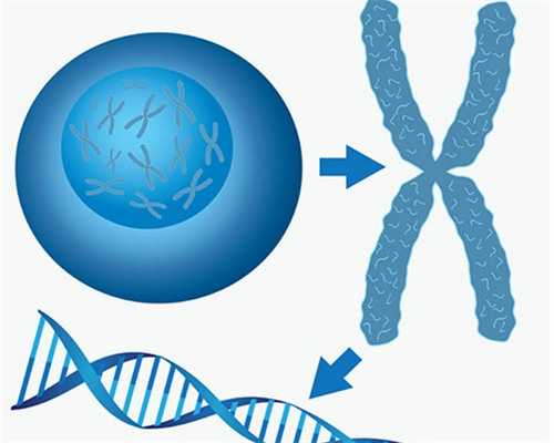 揭秘睡眠联想形成机制与优质助孕环境营造