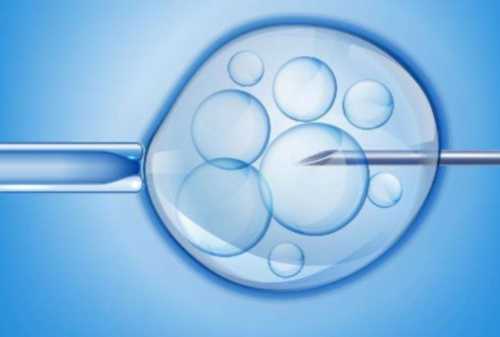 卵巢早衰中药调理效果评估与助孕策略