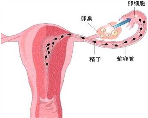 北京代生男孩概率，建阳在哪里能做助孕试管婴儿？一次成功率有多高？